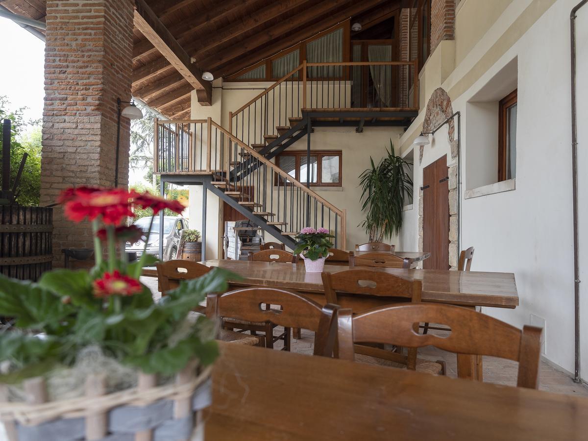 Agriturismo Il Palazzone Montegalda Dış mekan fotoğraf