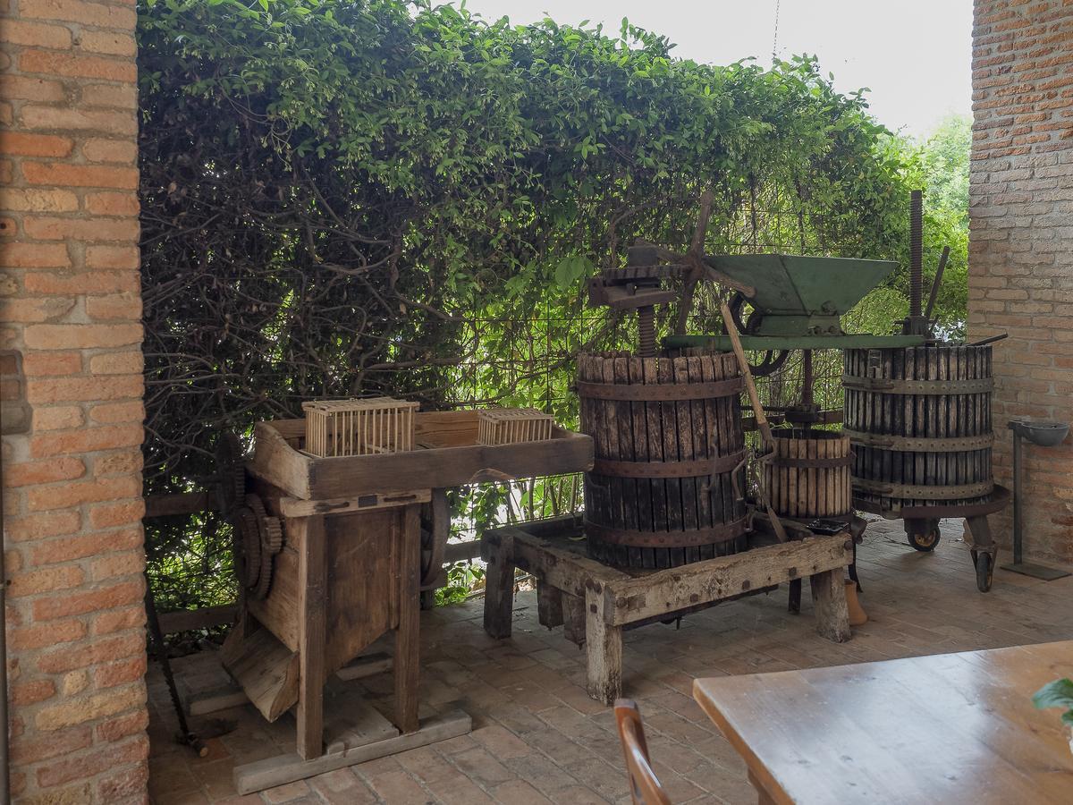 Agriturismo Il Palazzone Montegalda Dış mekan fotoğraf