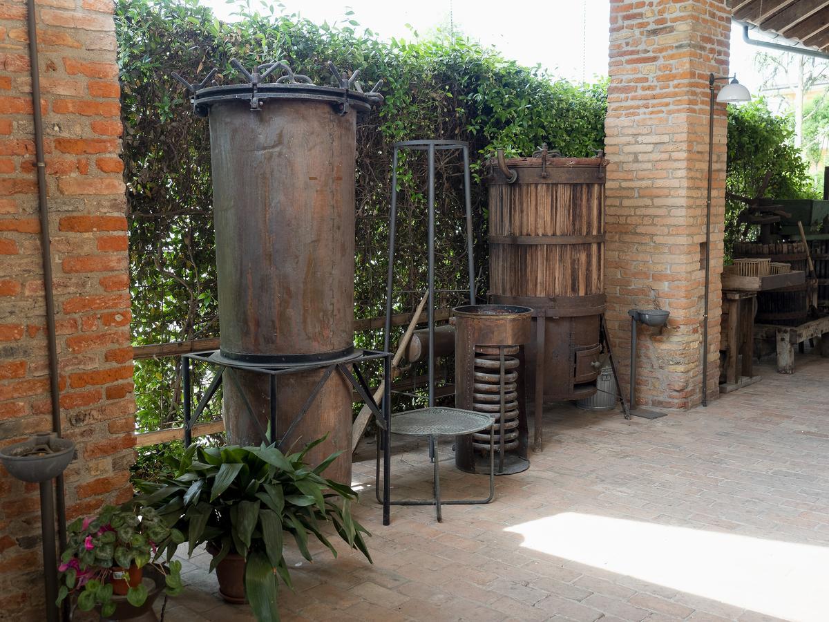 Agriturismo Il Palazzone Montegalda Dış mekan fotoğraf